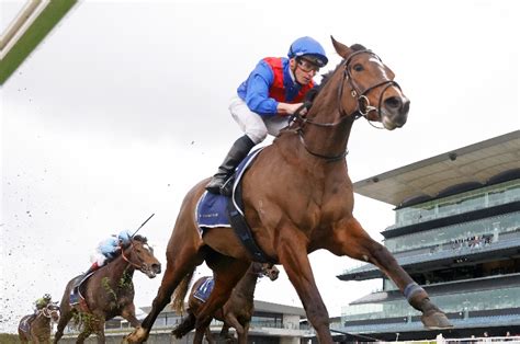 2022 Queen Of The South Stakes: Final Field, Barriers And Market.